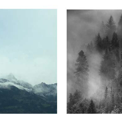 Blasse monochrome Landschaftsfotos von Gerge und Nadelwald