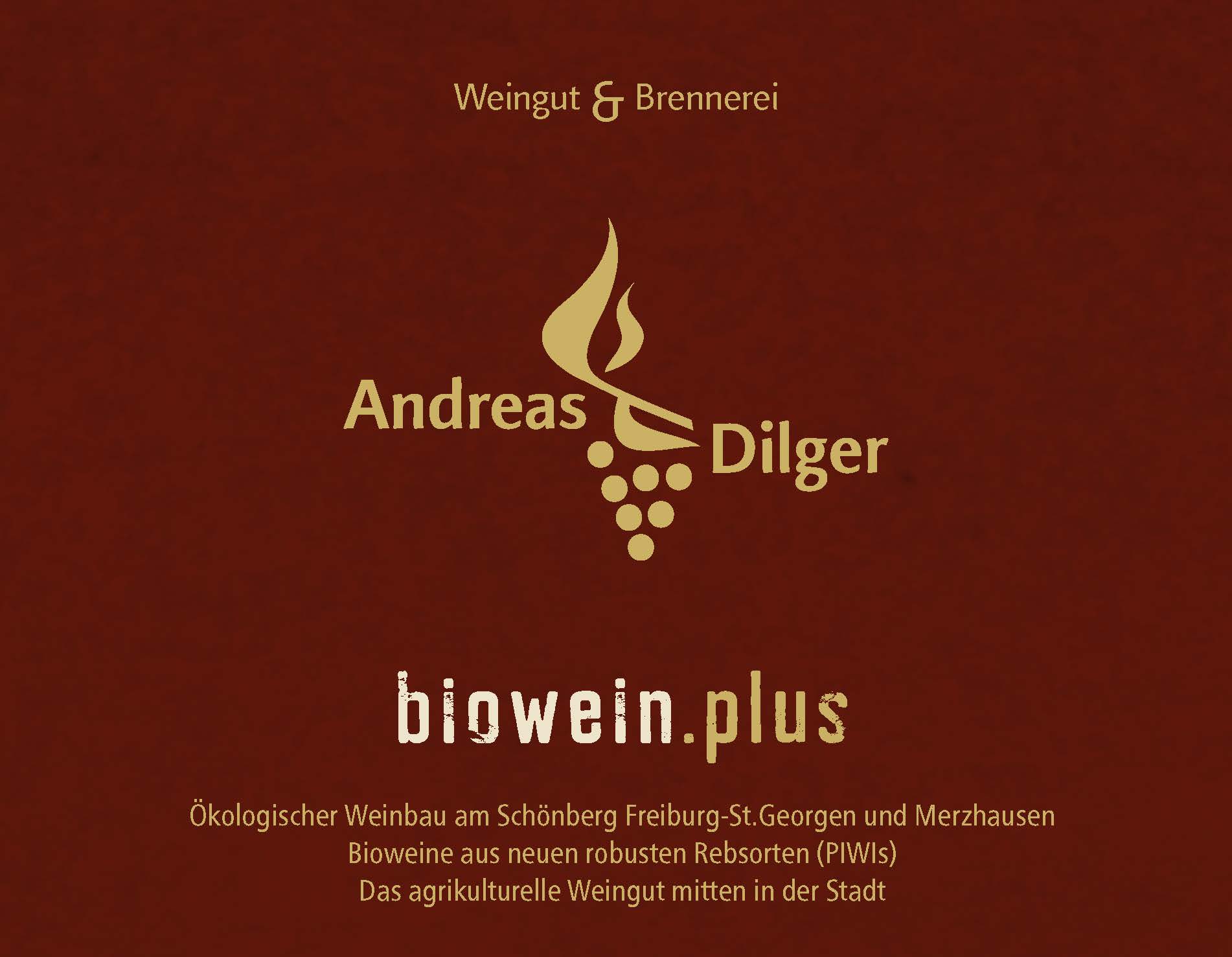 Flyer vom Weingut Dilger